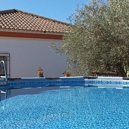 Villa Oasis Los Gallardos Ngoại thất bức ảnh